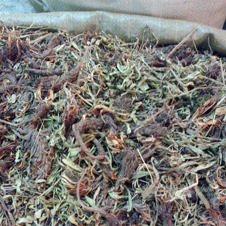 手把手教你认清中草药植物500种