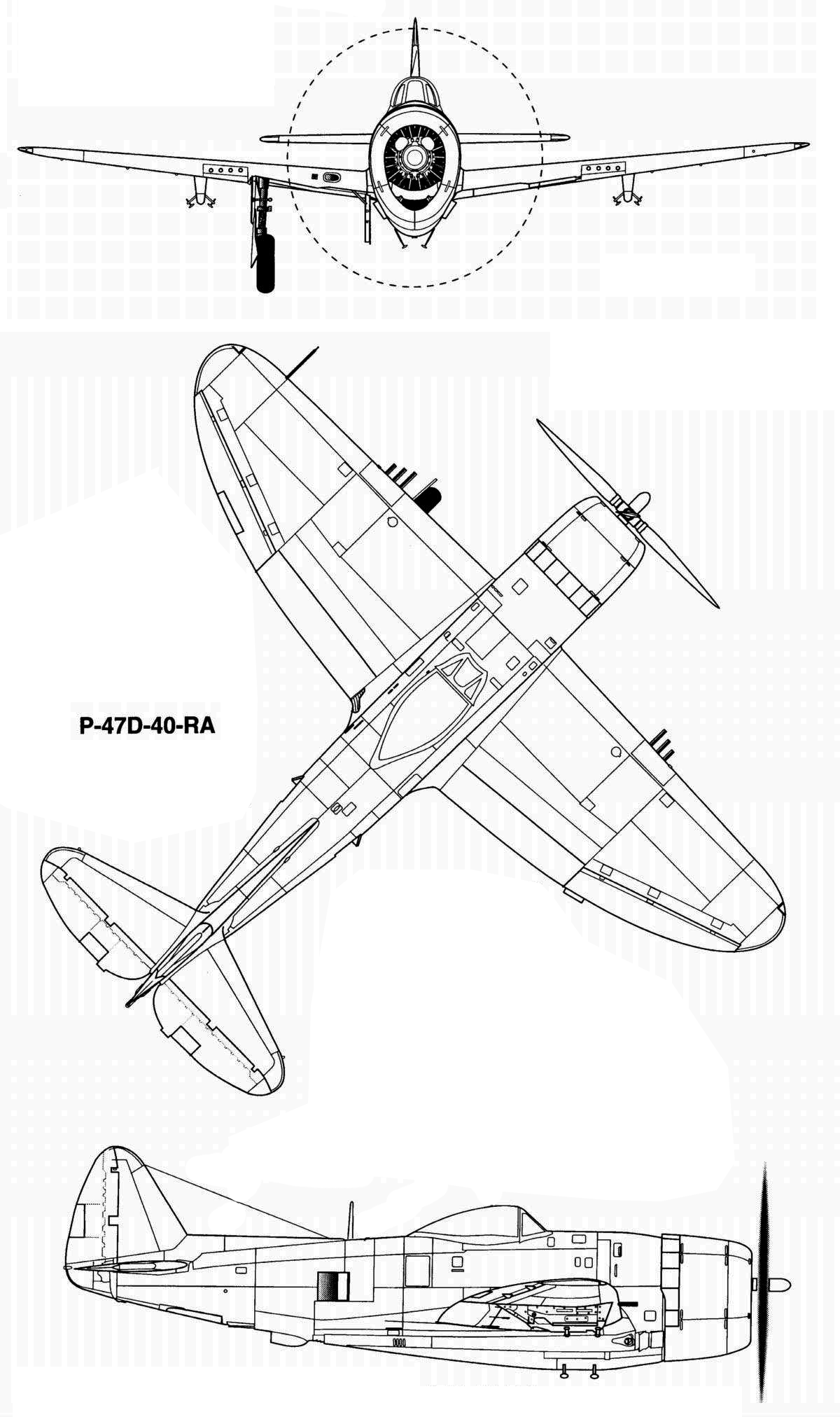 P-45战斗机图片