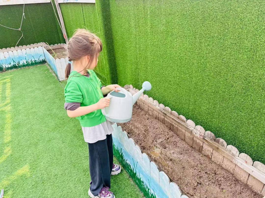 播种希望 收获成长