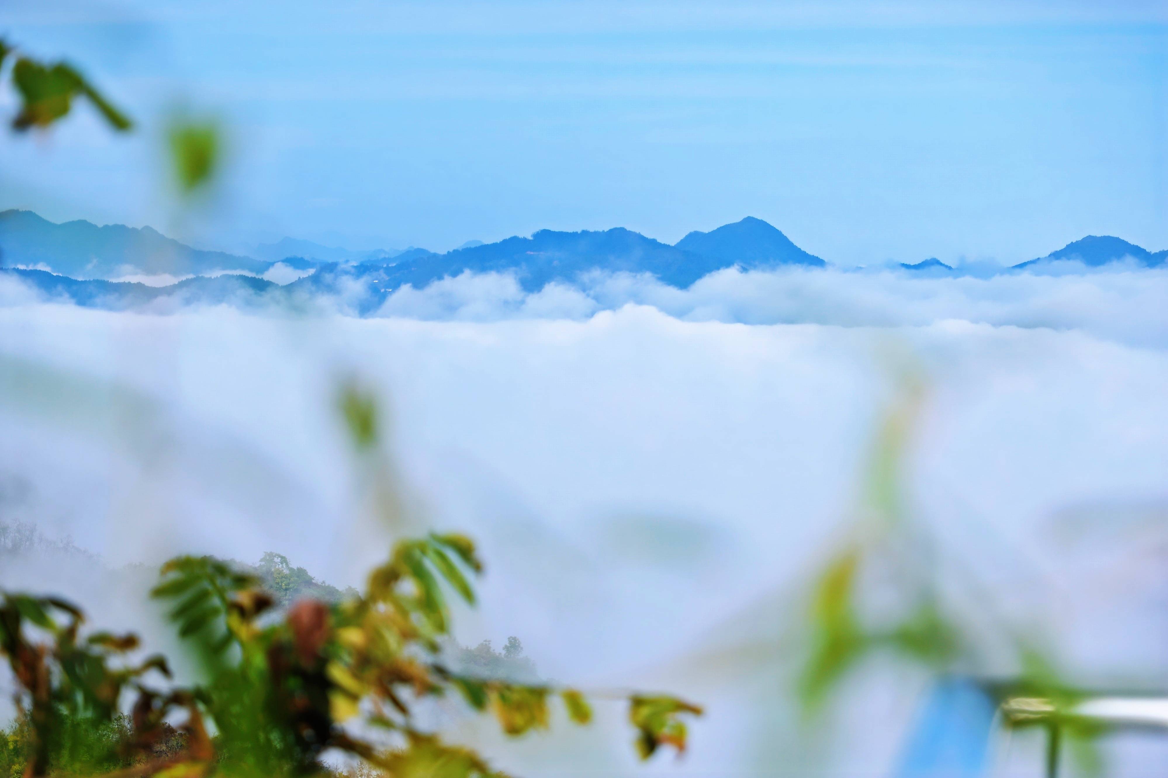 云雾缭绕,美若仙境!安康紫阳这个云上小村,你去过吗?