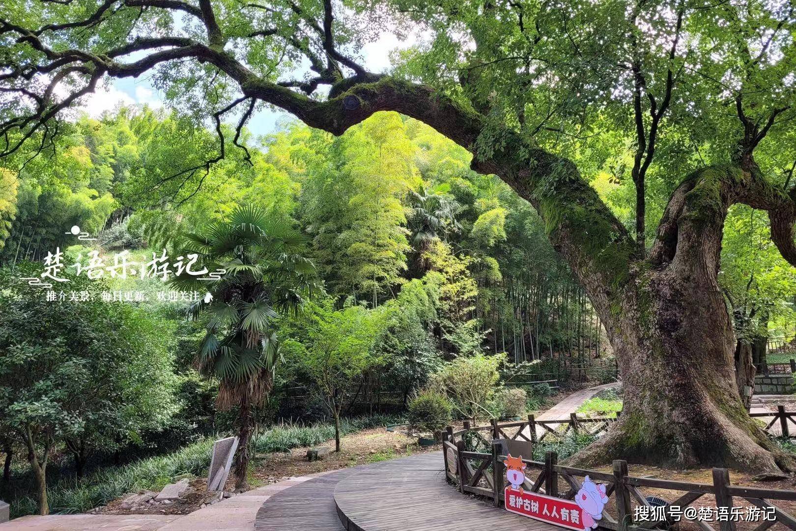 浙江宁波最值得去的古村落,青山绿水间隐藏着千年历史,景美如画