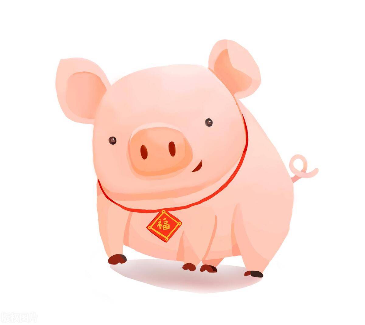 12月生肖运势猪(12月猪的运势)