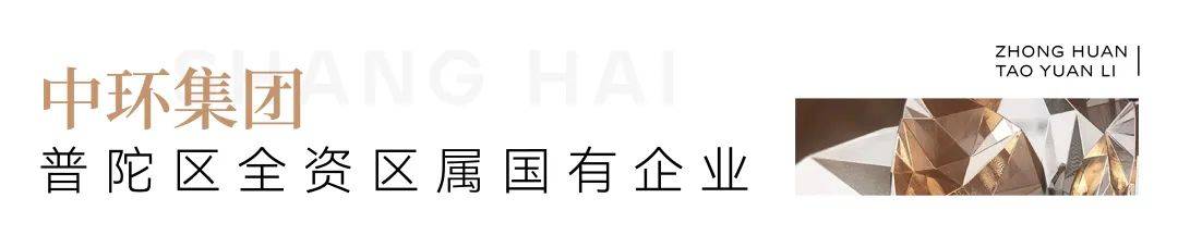 中环桃源里(上海普陀)中环桃源里2024最新首页_最新房价_户型配套_周边环境_开发_发展_房地产