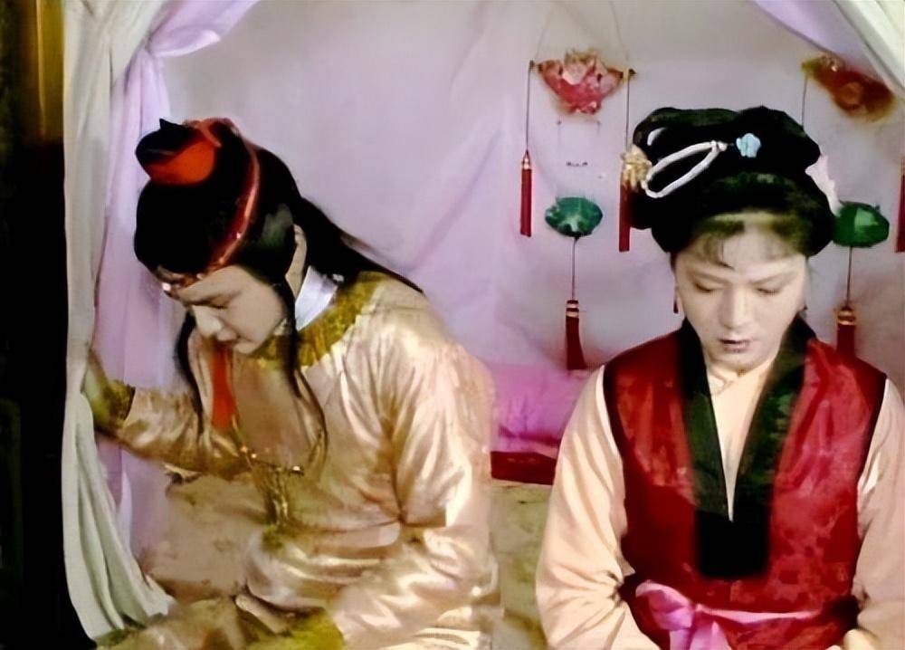 绝世奸佞花袭人:红楼梦塑造最成功的角色!坏的流油,却真实入骨