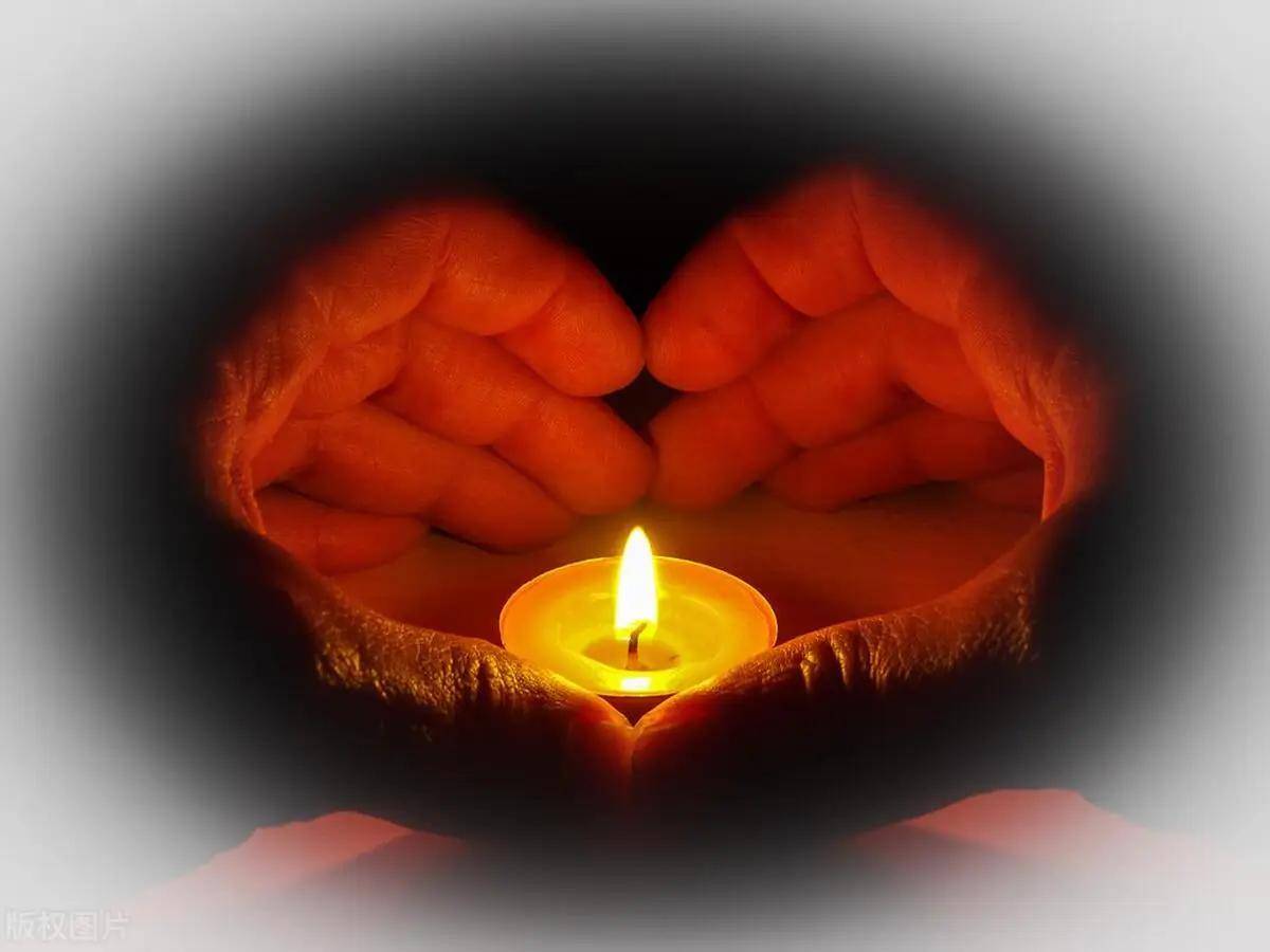 丹凤张杰《寒衣节的哀思》