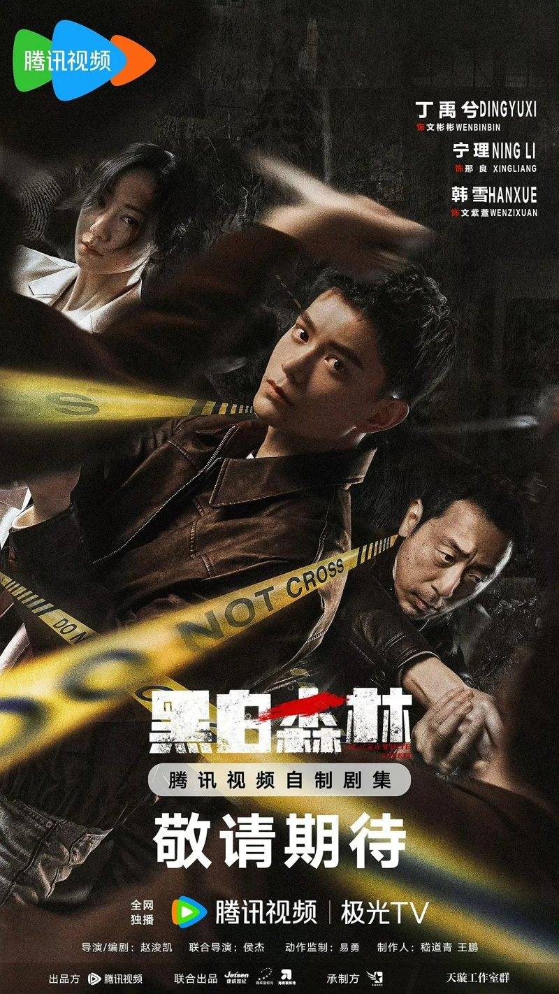 11月11部都市情感剧:《白夜破晓》,《焕羽》,《黑白森林》领衔