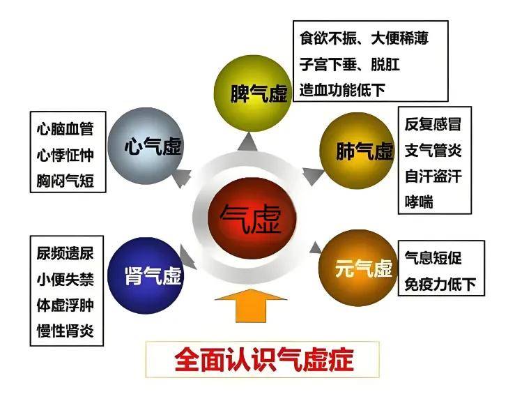 气虚的人容易累,一个中成药补一身之气,帮你赶走疲倦乏力!_人参_症状_茯苓