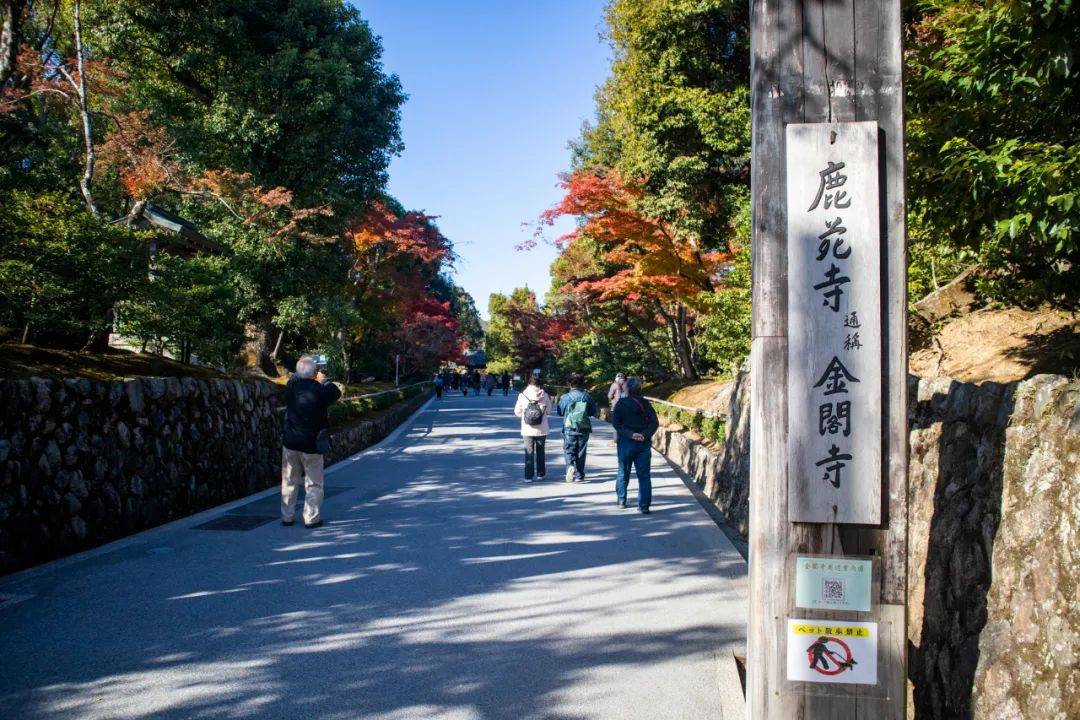 日本金阁寺门票图片