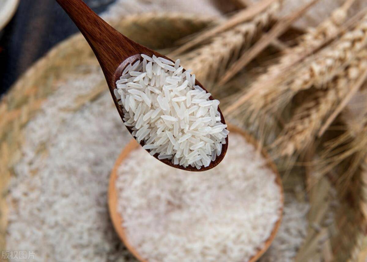 超度用的大米-十大公认最好吃的大米
