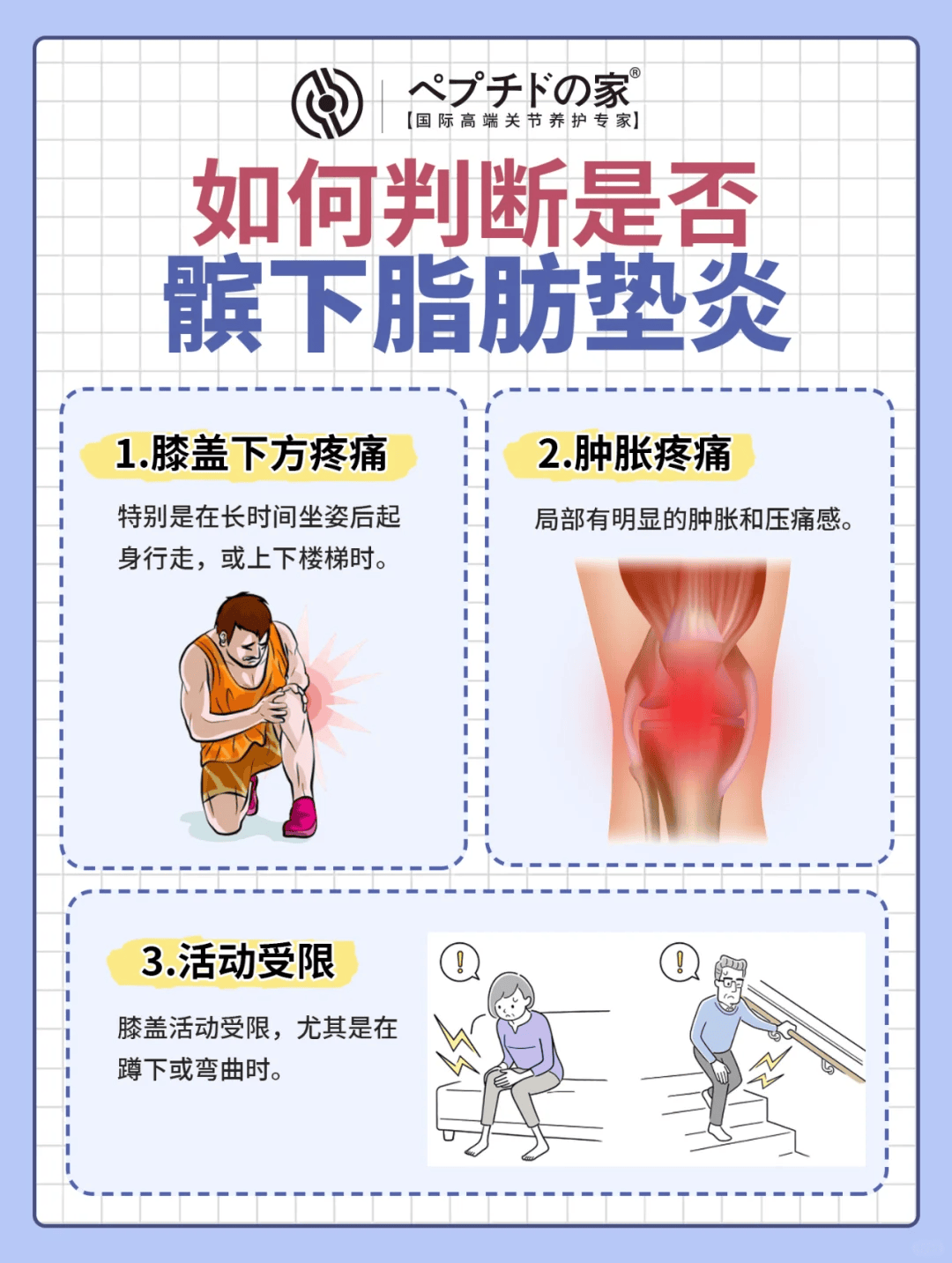 髌下脂肪垫 解剖图片