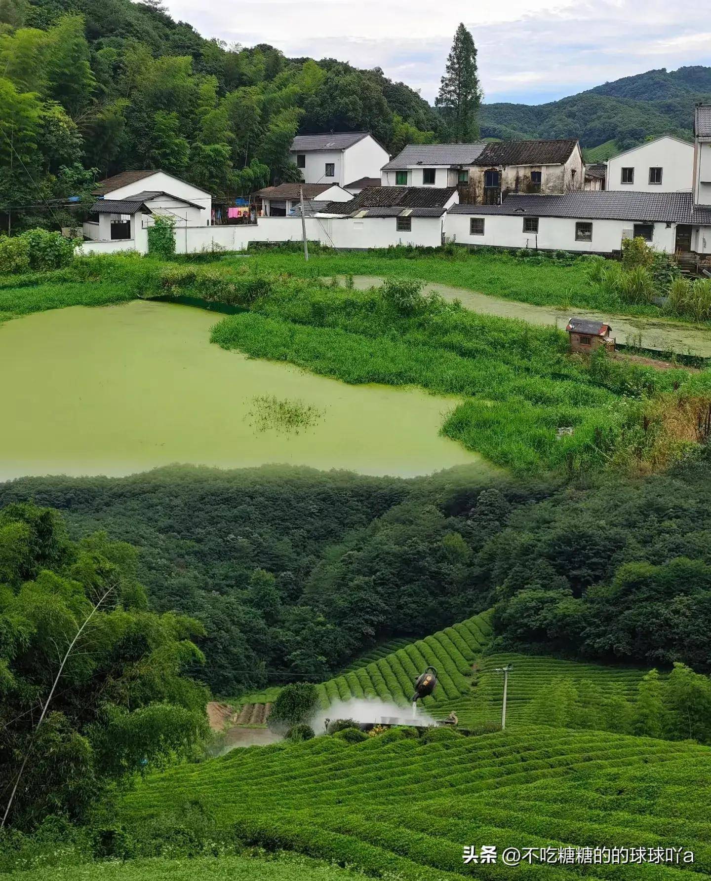 范蠡村图片