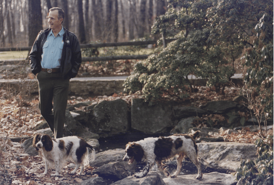 那些入住白宫的宠物们_罗斯福_罗纳德·里根_champ