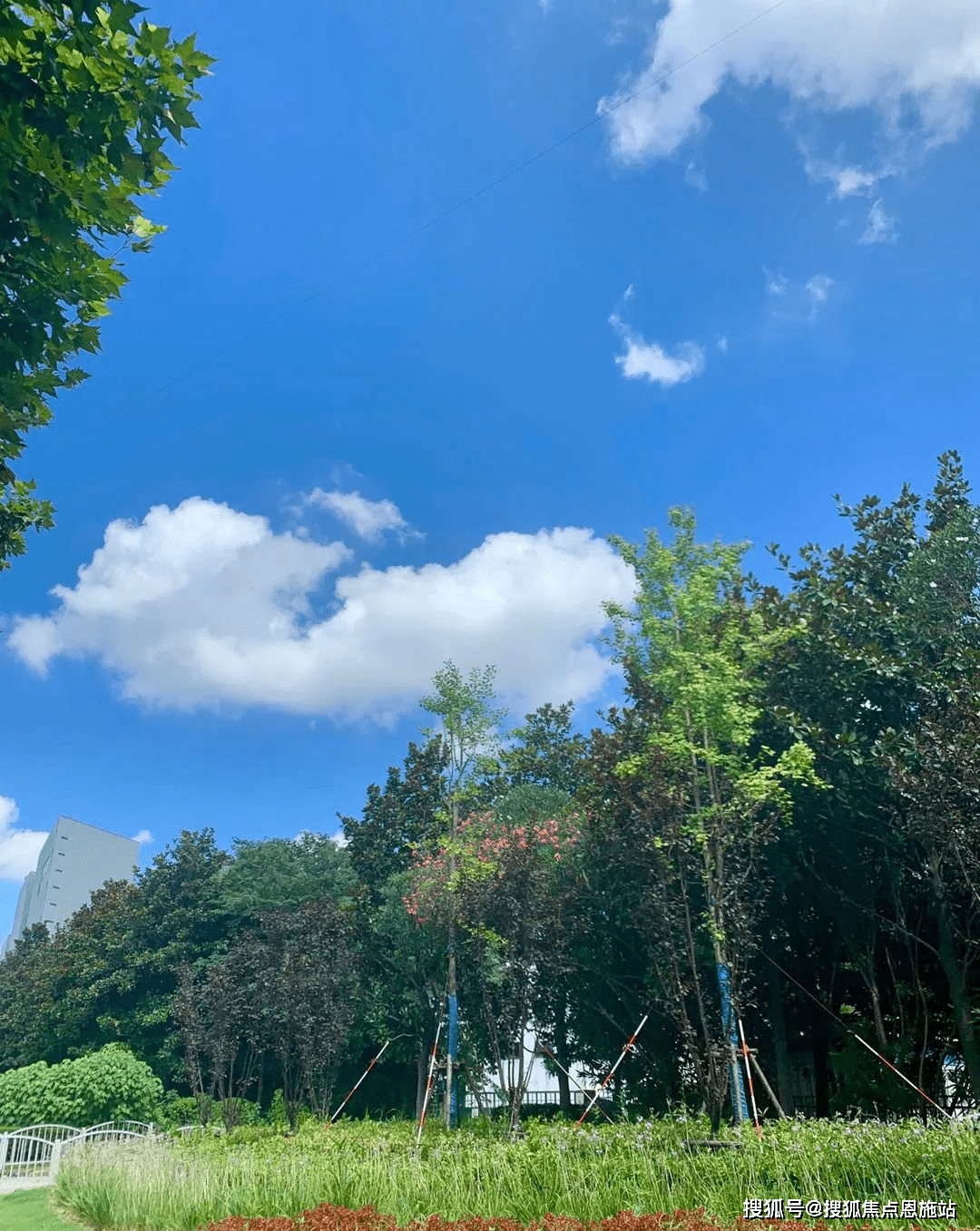 壁纸 桌面 1080_1357 竖版 竖屏 手机