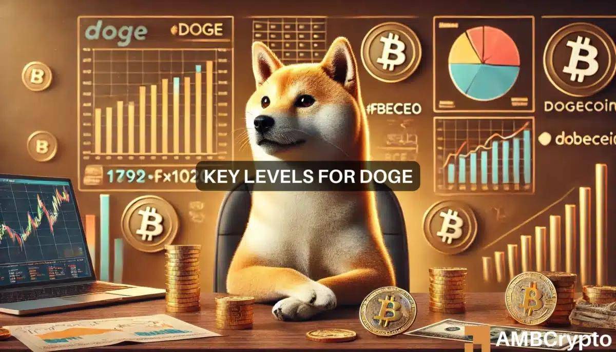 柴犬币最新价格及图片图片