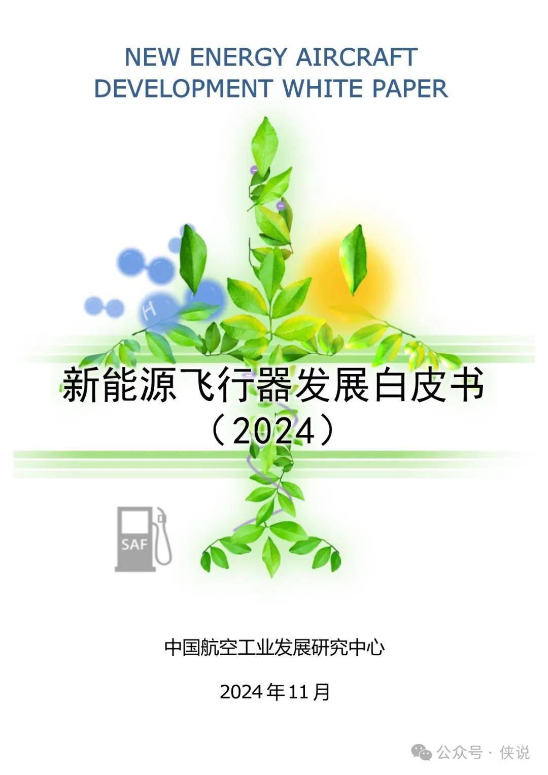 新能源飞行器发展白皮书（2024） 