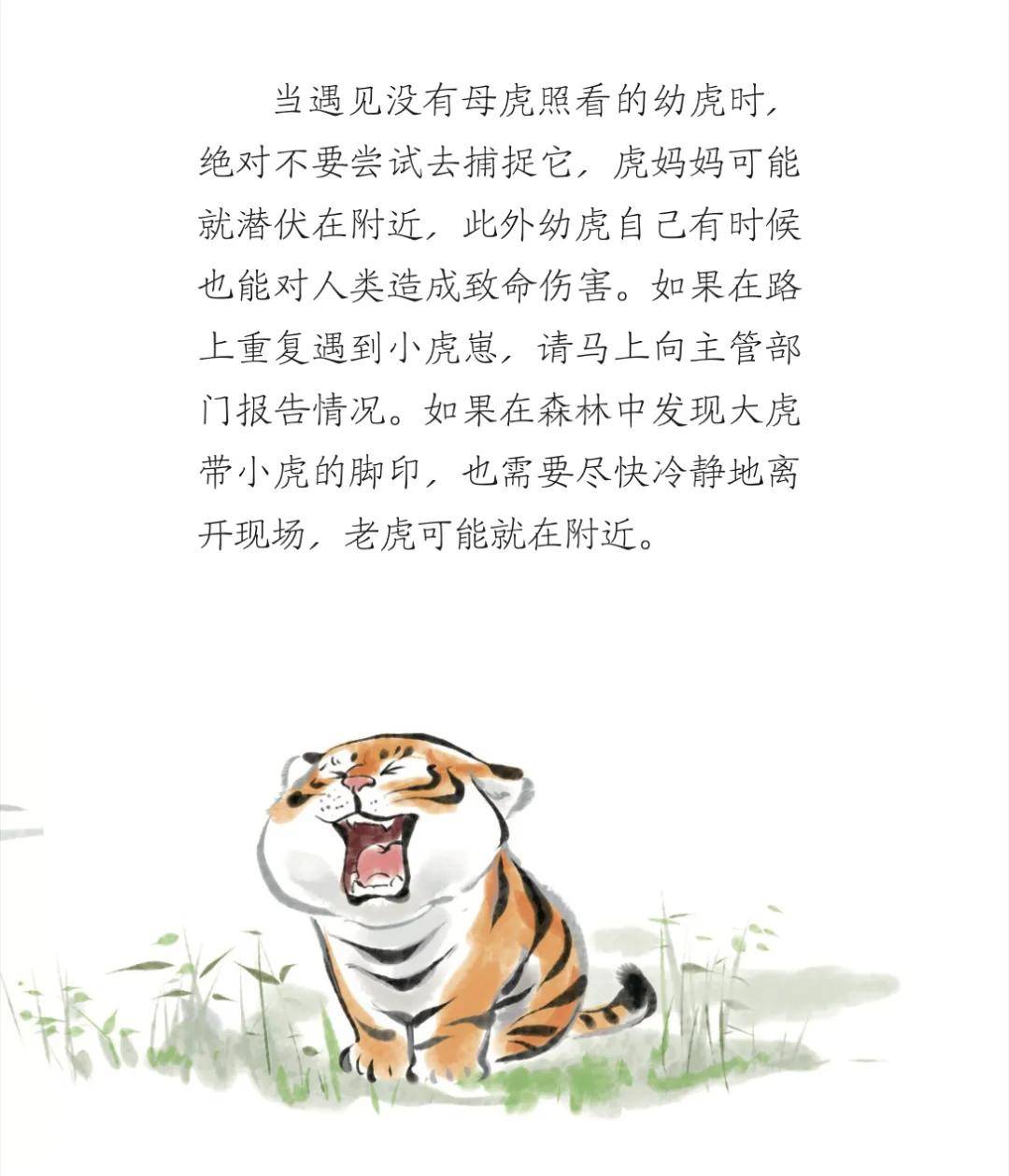 遇到老虎怎么办?