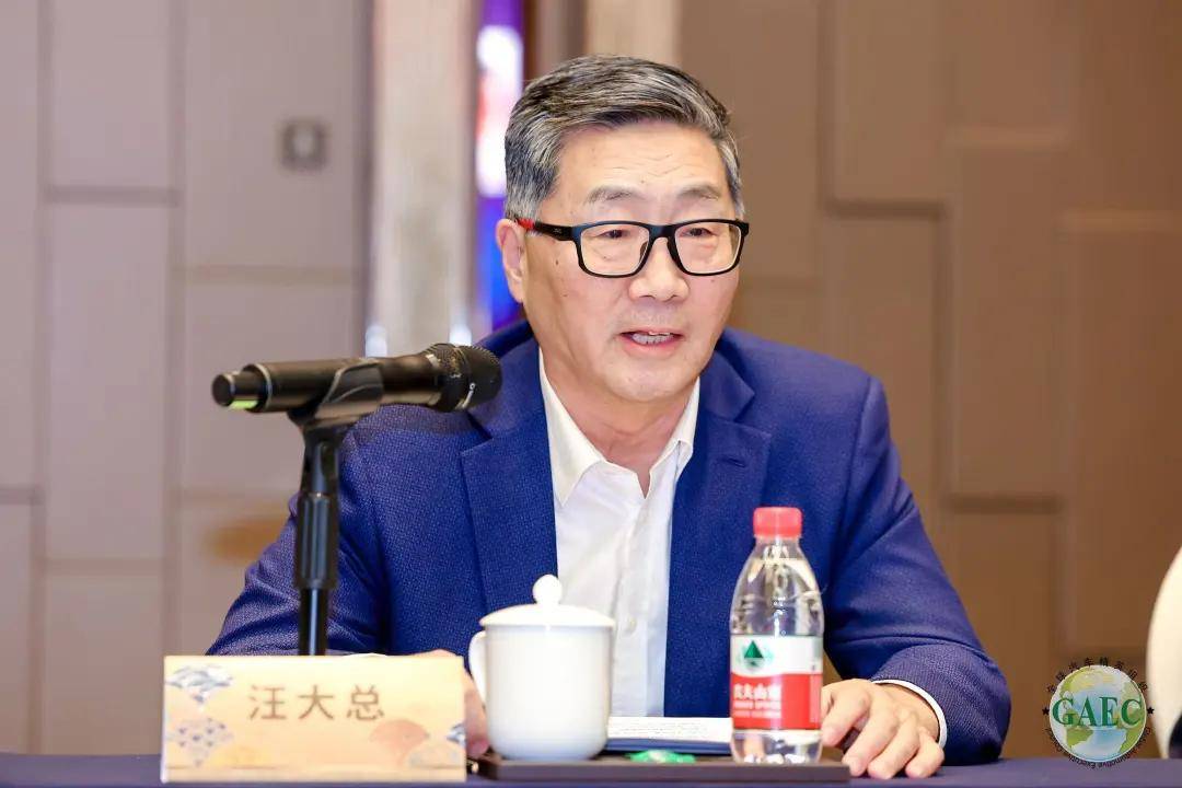 汪大总:深化国际化布局,实现从整车出口到制造出海、运营出海的完整转型_搜狐汽车_搜狐网
