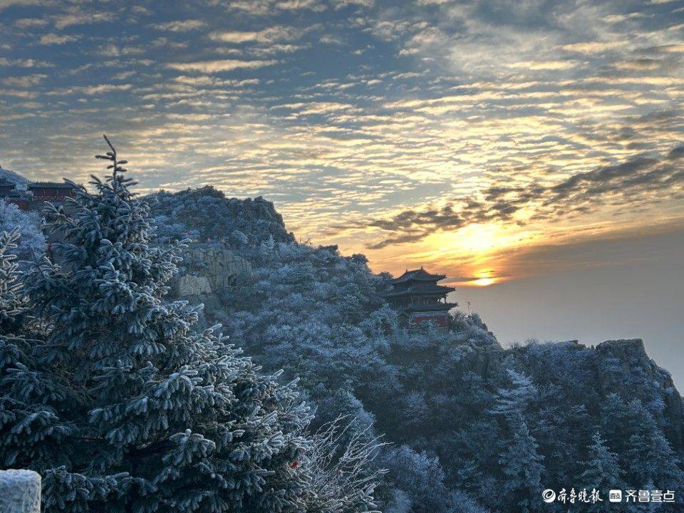 今冬首场泰山雾凇已上线！山顶开启仙境模式