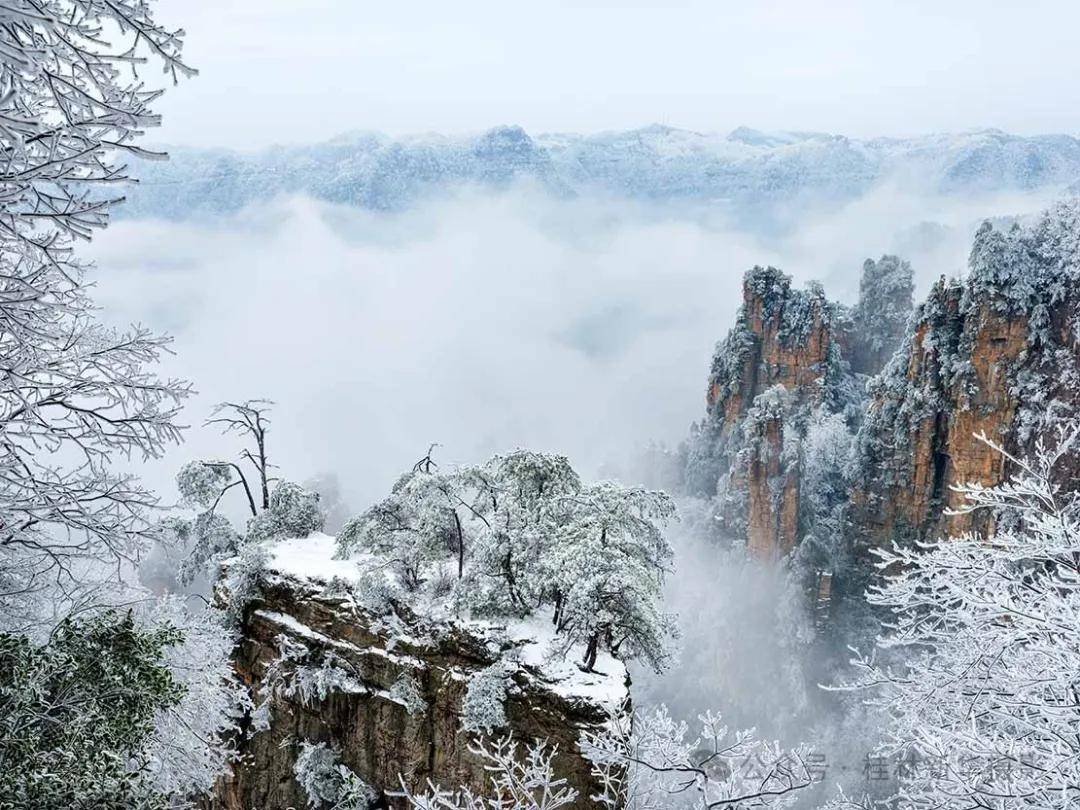 张家界雪景图片天子山图片