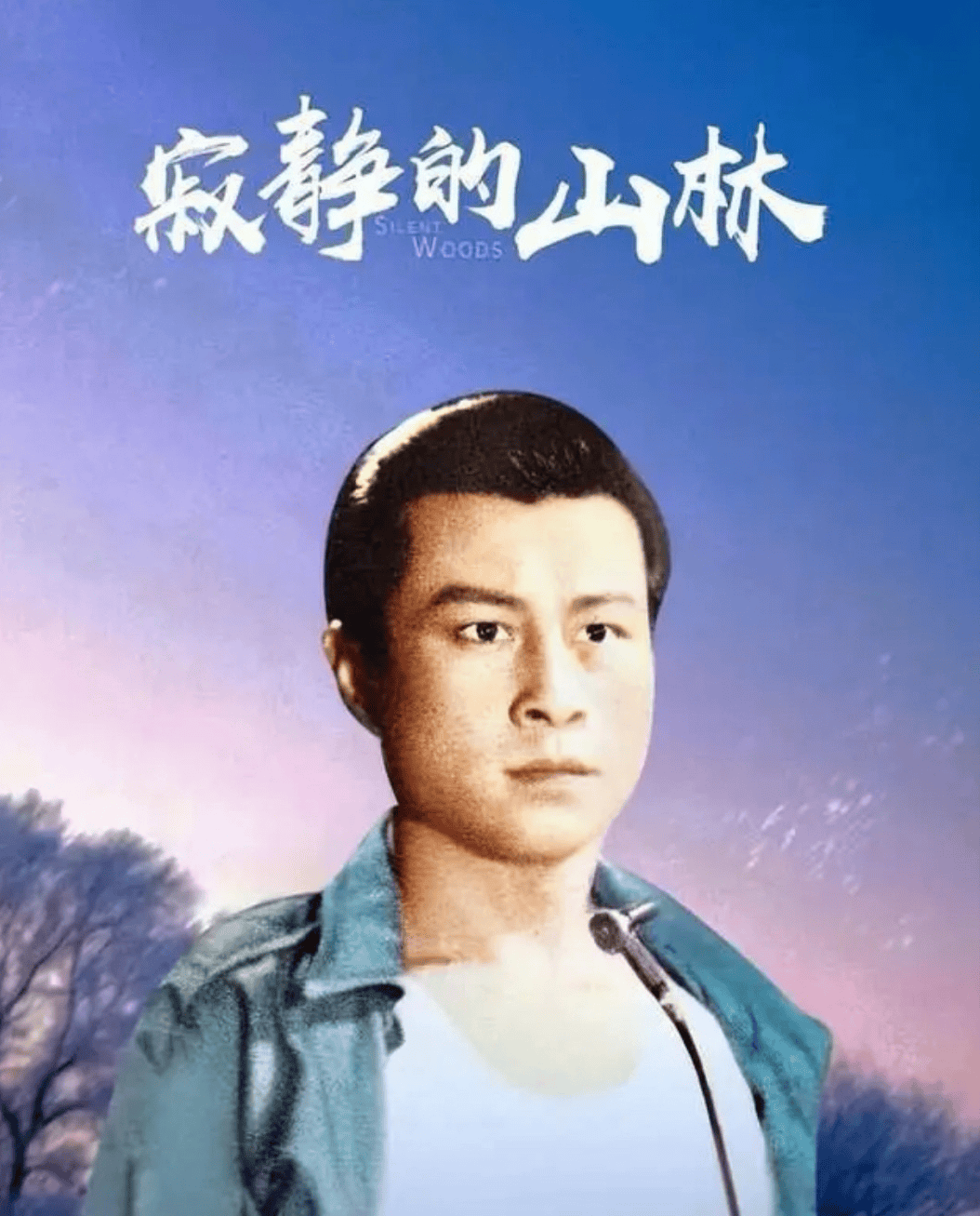 王心刚生平图片