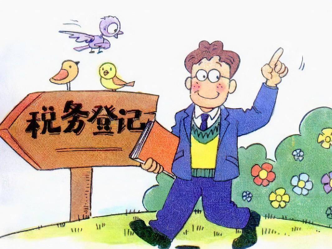 为政府或企业提供专业税收分析报告