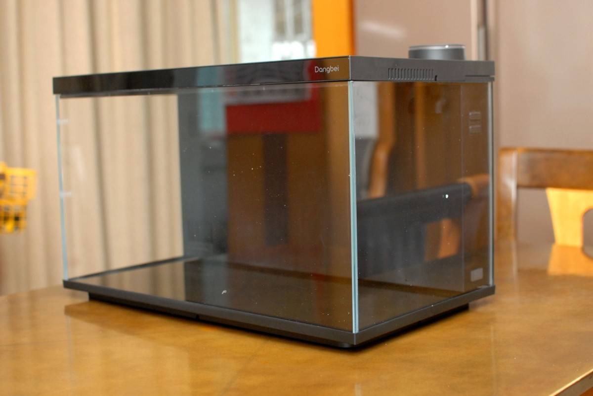 当贝智能鱼缸1 Ultra体验:智能加持,尽享养鱼新乐趣