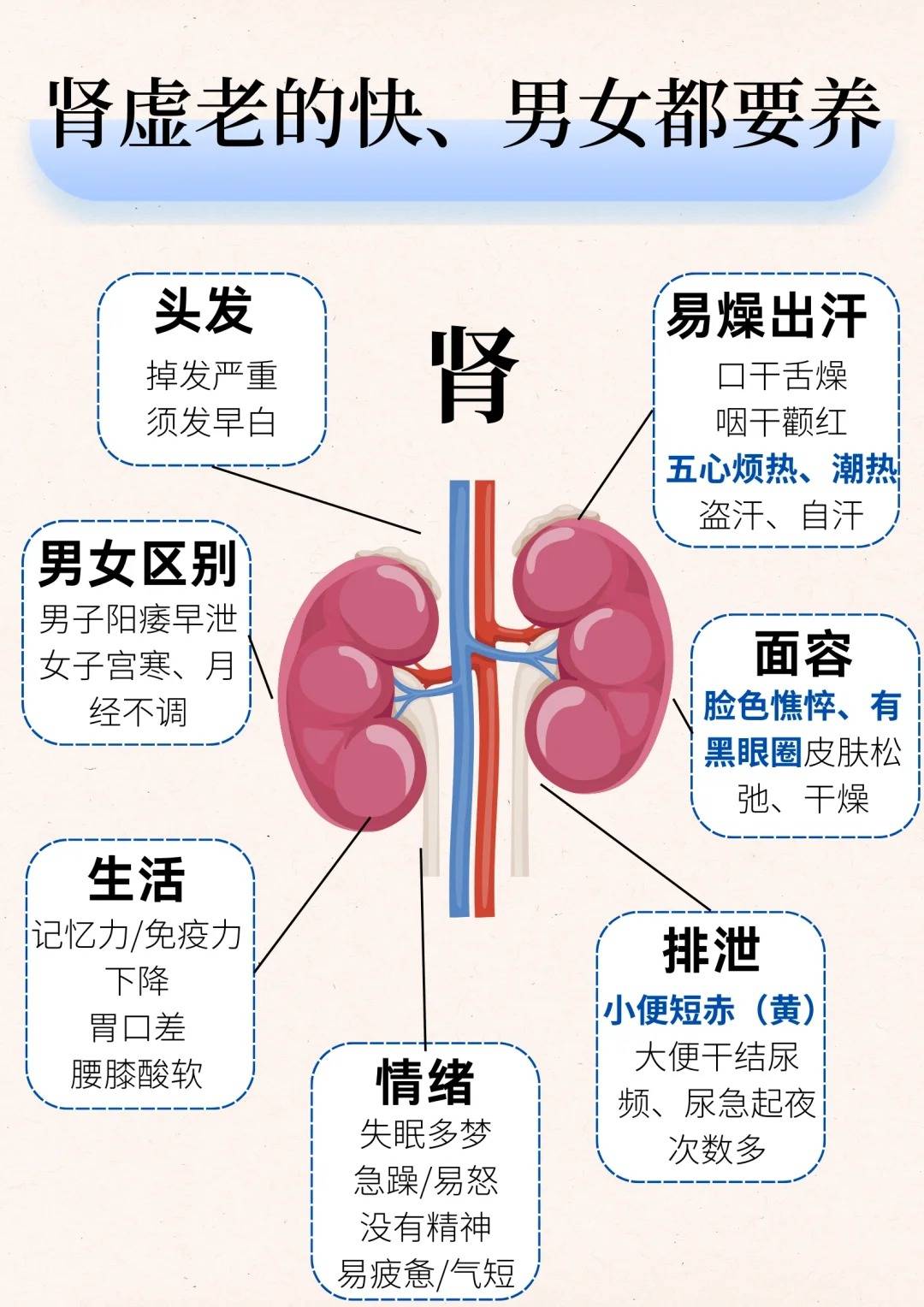肾虚老的快,男女都要养!女性护理更复杂!夫妻同补,千万不要错过这篇