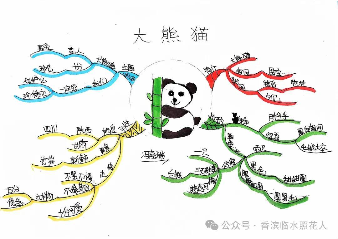【思维导图"画"作文——五年级"介绍一种事物"】金宛宣《乌龟家族》