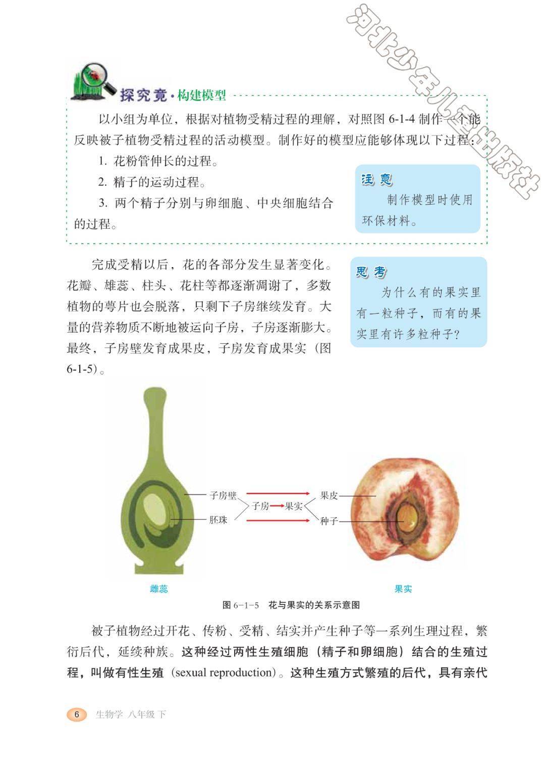 五四制八下生物(五四学制八年级下册生物知识点)  第1张 五四制八下生物(五四学制八年级下册生物知识点)  第1张