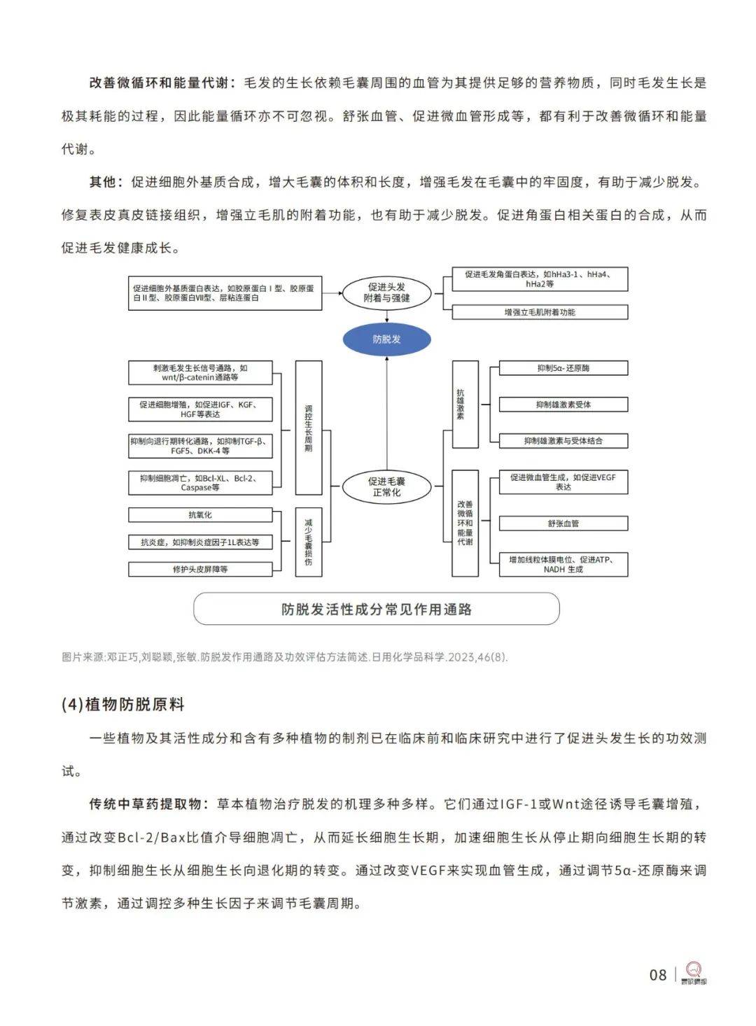 青眼情报：2024中国洗发护发市场现状分析报告，科学洗发护发指南