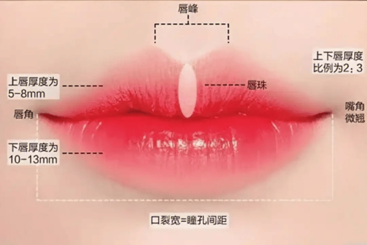 微整医生张国军:唇部美学标准与唇部注射的审美提升_搜狐网