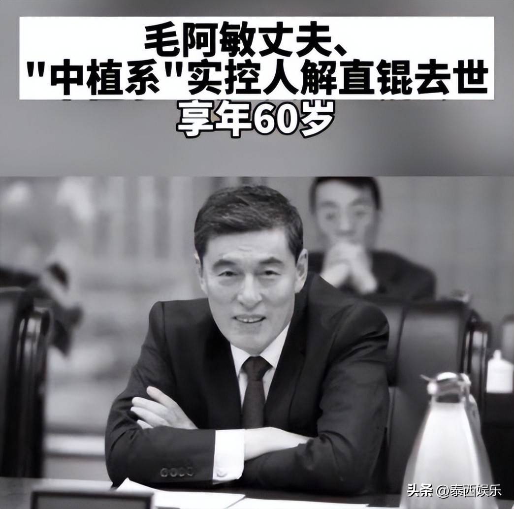 老公去世后留下一双儿女,毛阿敏如今怎样_解直锟_公司_丈夫