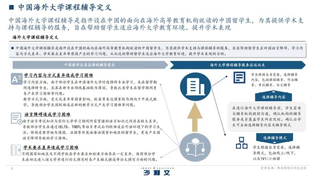 2024年中国海外大学课程辅导行业怎么样？大学课程辅导市场规模