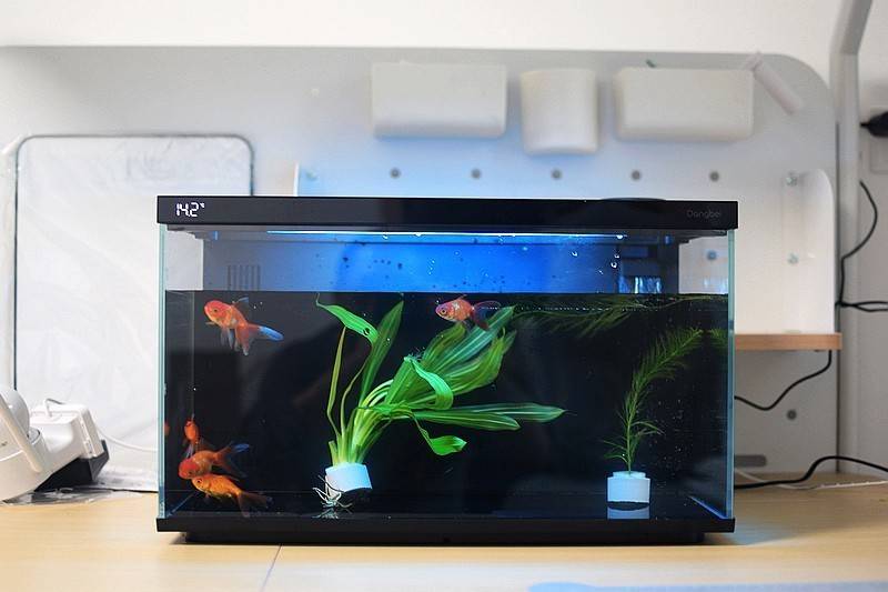 当贝智能鱼缸 1 Ultra 现代科技与自然生态的完美融合