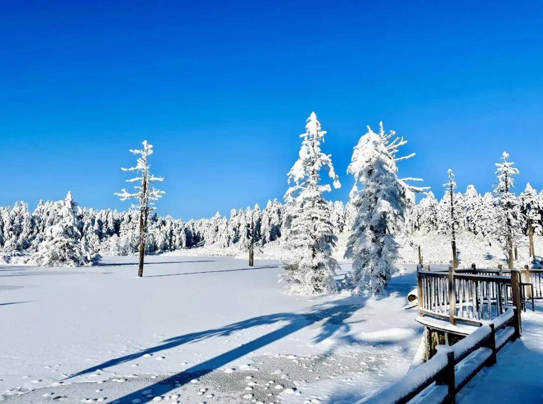 四川玩雪旅游景点图片