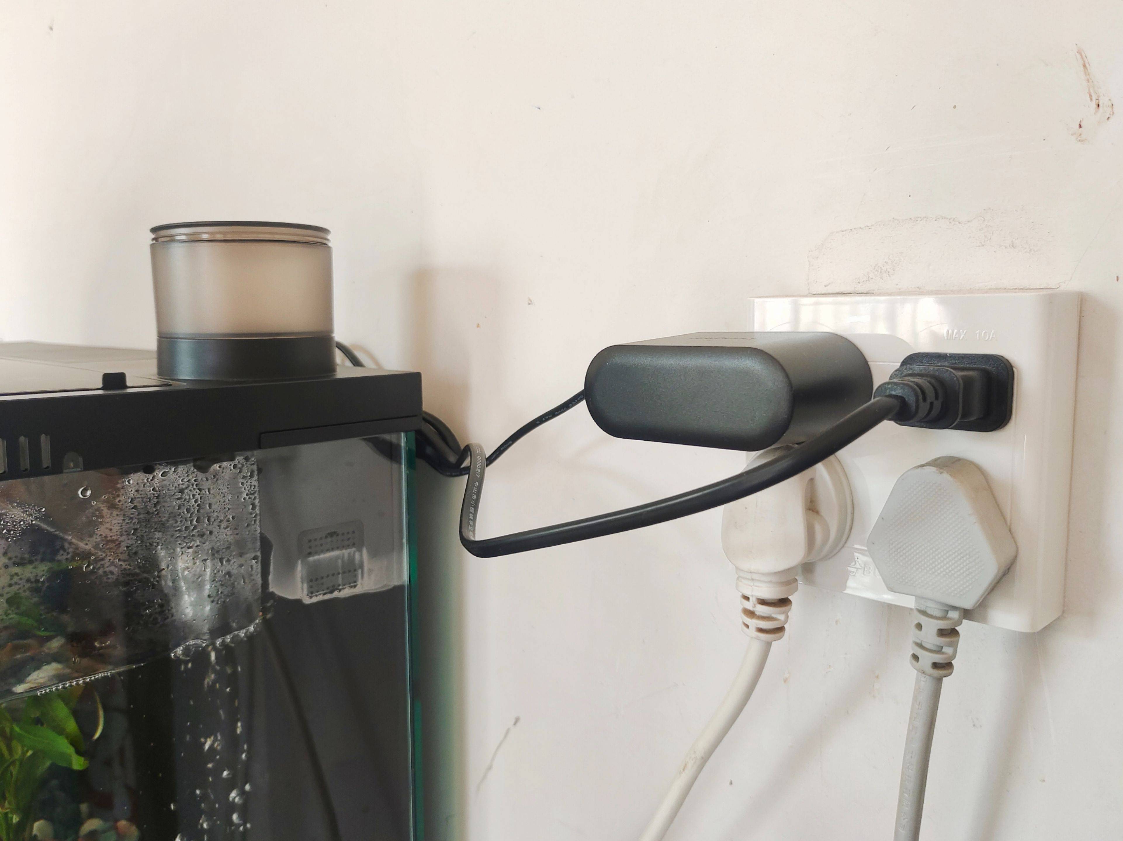 当贝智能鱼缸教你正确养鱼,一键搞定水流和投喂,养鱼如“摸鱼”一样轻松简单