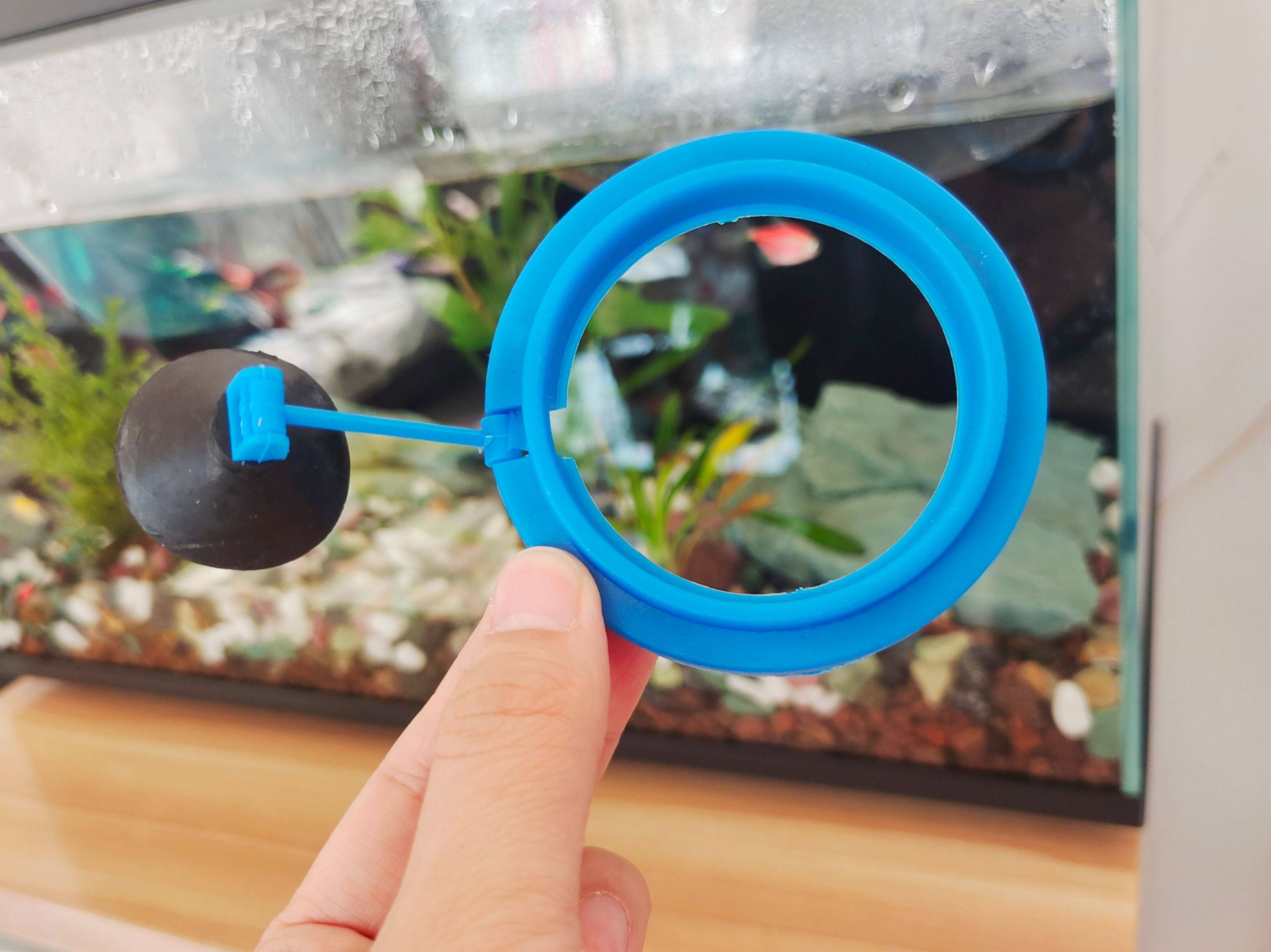 当贝智能鱼缸教你正确养鱼,一键搞定水流和投喂,养鱼如“摸鱼”一样轻松简单