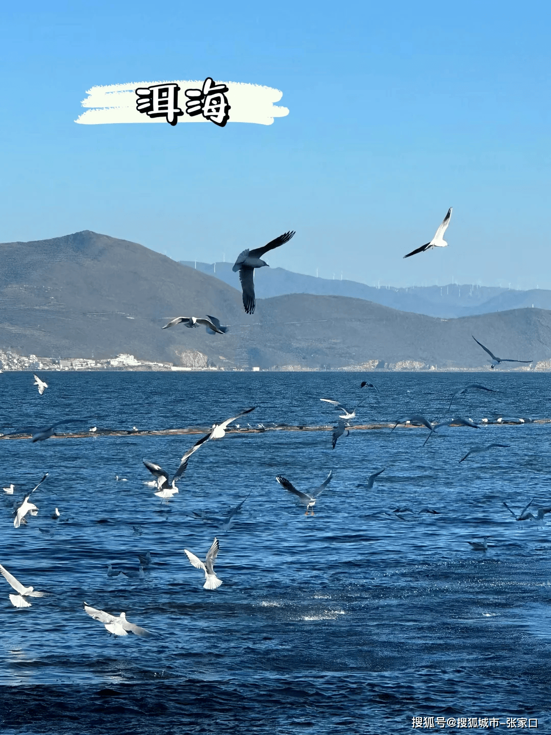 跟团去云南五日游要多少钱,报团去云南5天多少钱,省钱又省心!_苏苏_纳西_丽江古城