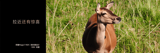 荣耀Magic7 RSR保时捷设计版登场,影像大升级来袭!