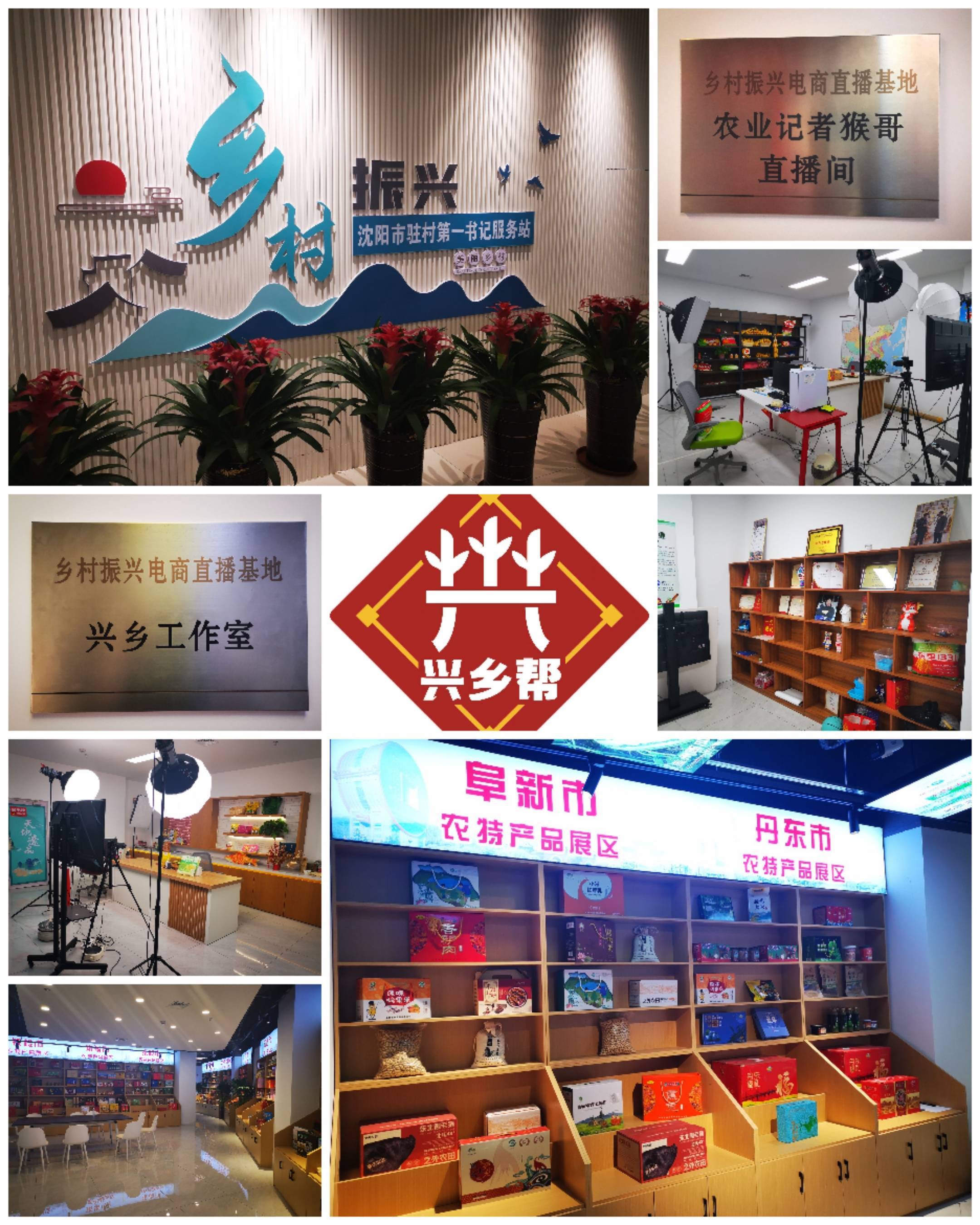 数字乡村建设助推农民农村共同富裕的价值逻辑、现实图景与优化路径_发展