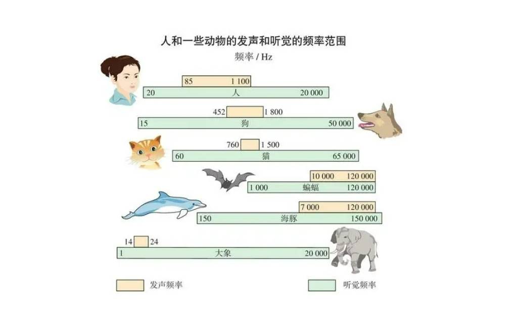 无线领夹麦克风什么牌子好用?一文看懂哪款麦克风音质效果好