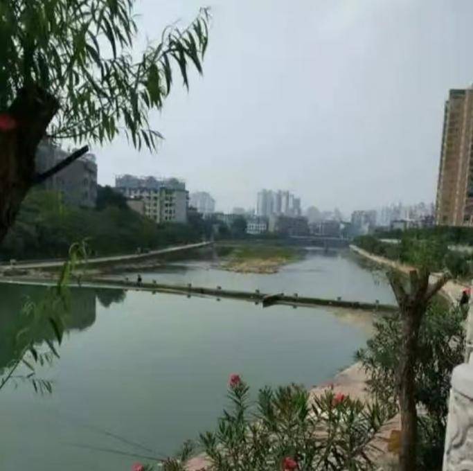 文章配图-5