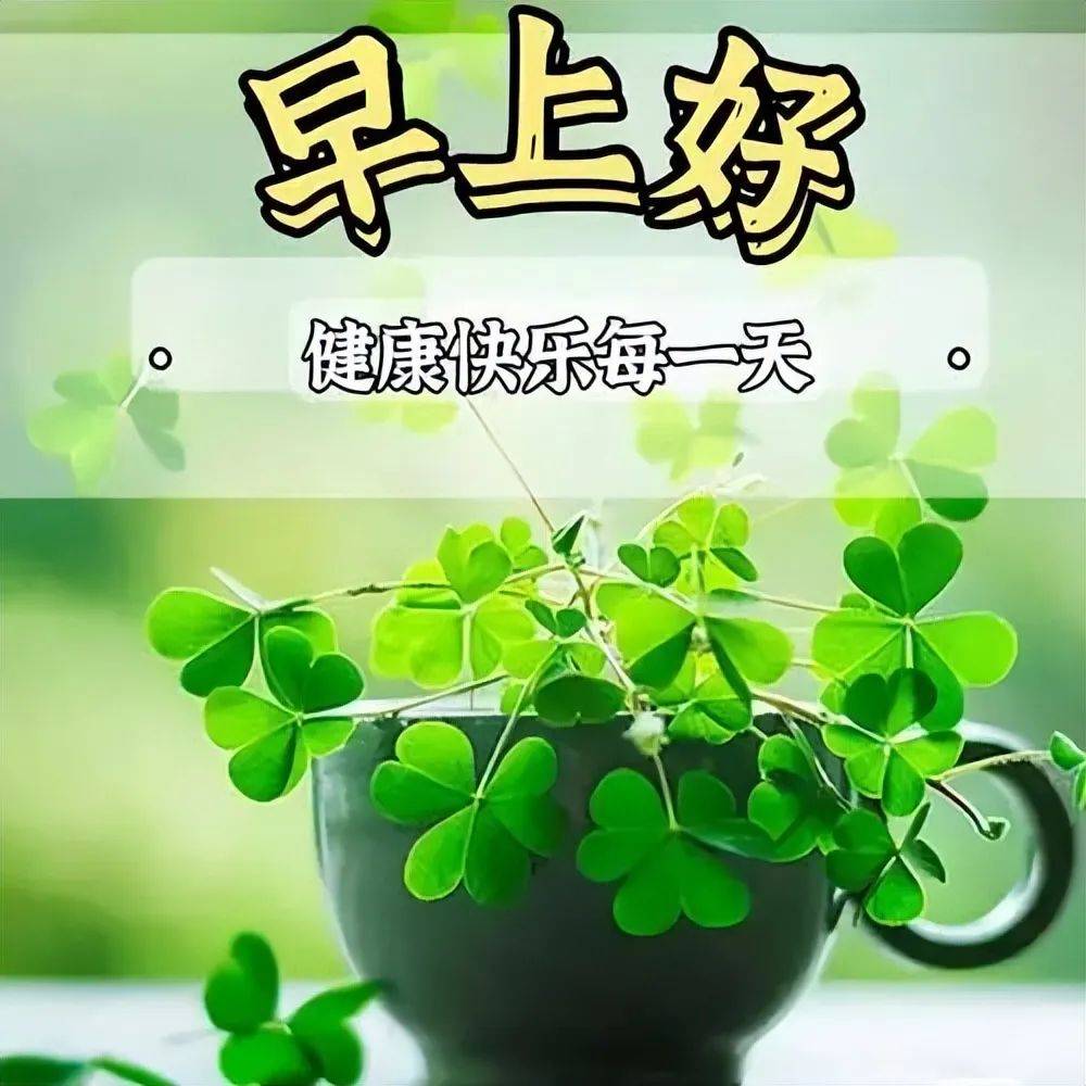 15张今天最新早上好早安表情图片大全,问候心情好,牵挂情谊好