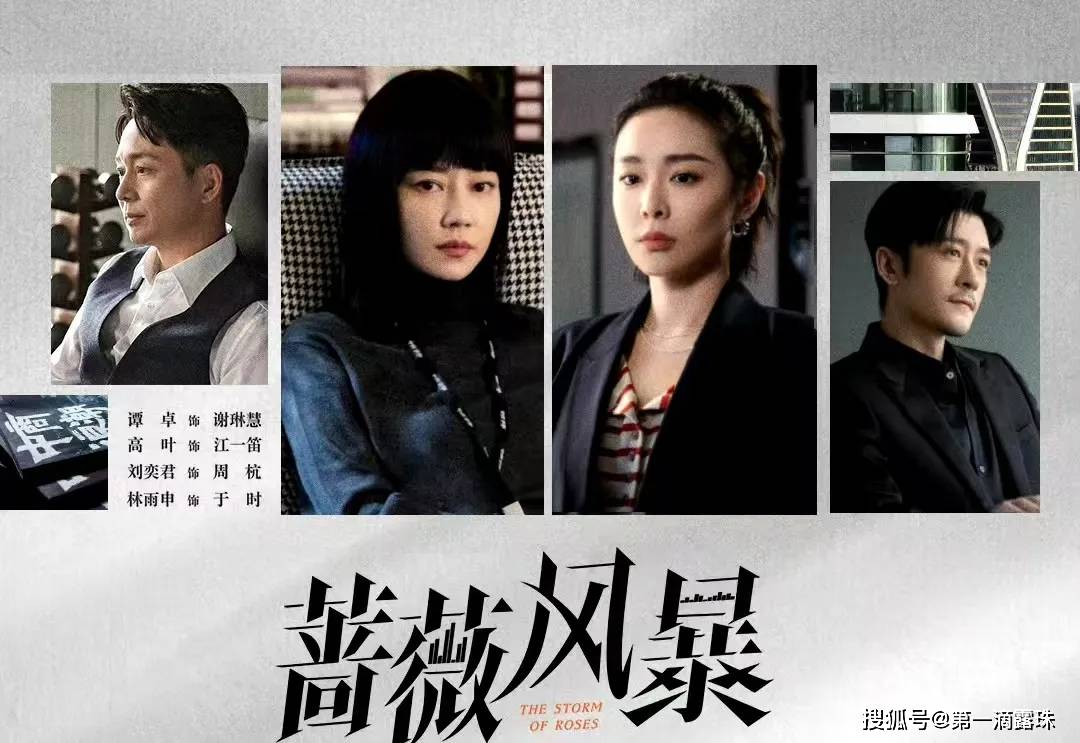 金融职场大剧《蔷薇风暴》今晚开播！高叶谭卓刘奕君林雨申领衔，《我是刑警》导演执导_搜狐网