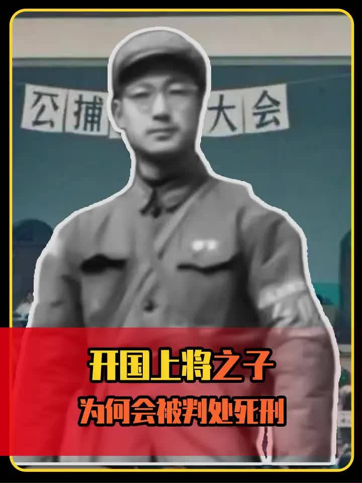 上将王启兵被判处死刑图片