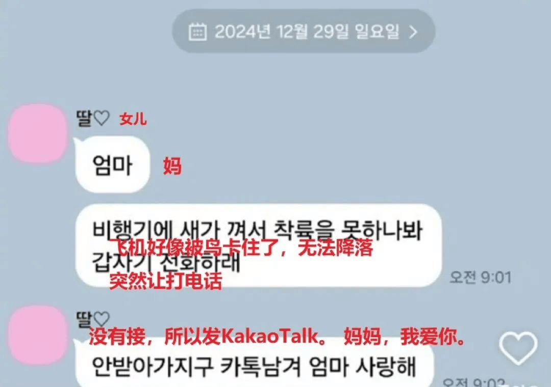 韩国空难179人死亡，是为了活人献祭？！ 