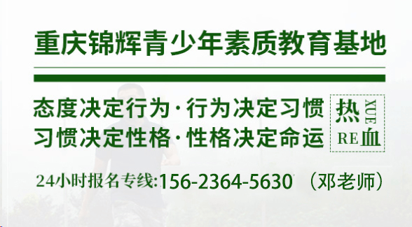 重慶沙坪壩2025年最正規的初高中生厭學、網癮、叛逆教育學校-政府部門備案口碑保證 -圖6