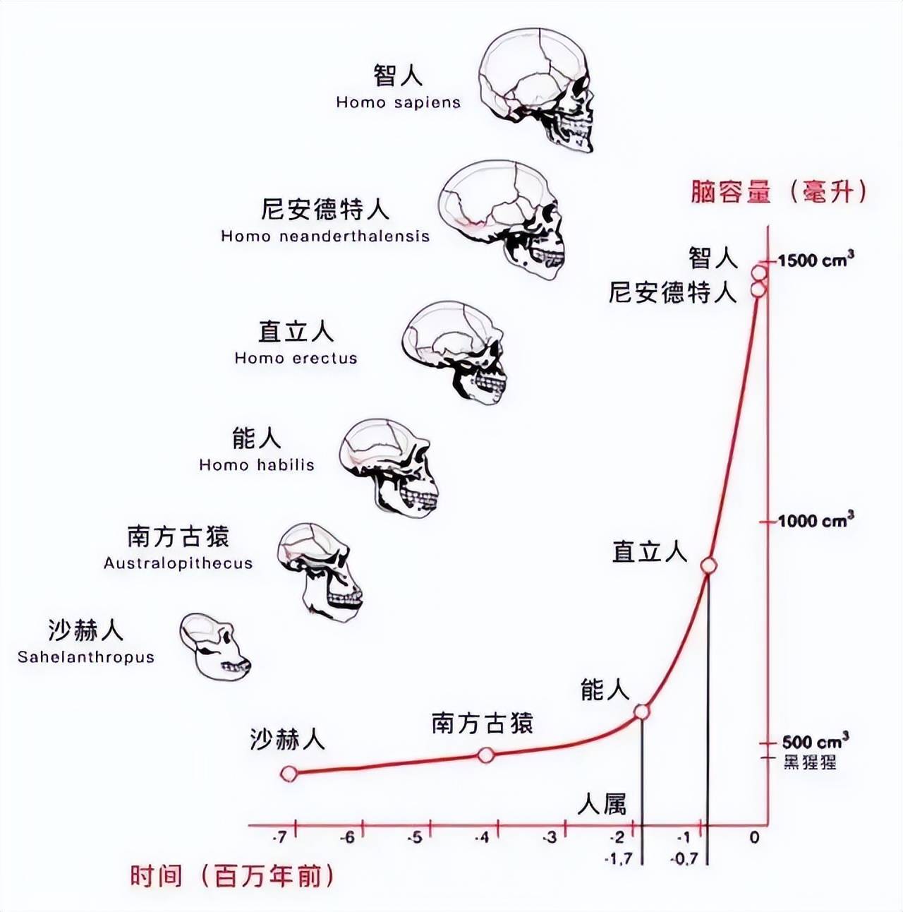 进化论_古猿_生物