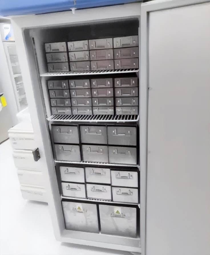 一体成型冻存架:无缝结构如何提升超低温存储效能_样本_冰箱_生物