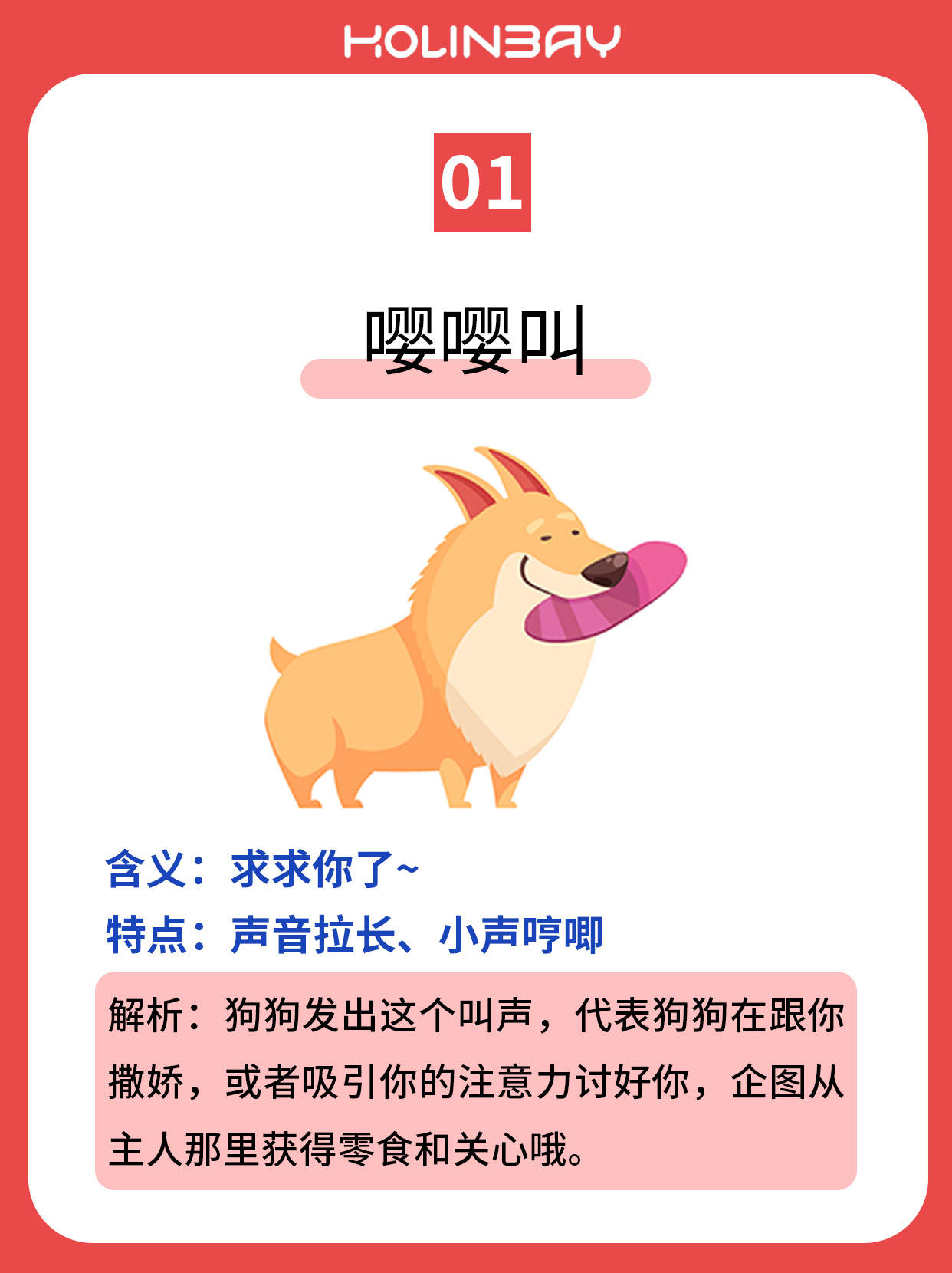 红绫大白丨狗狗叫声大揭密!最全汪星人语言解析